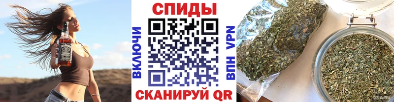 Купить  Чайковский  БУТИРАТ 99% 