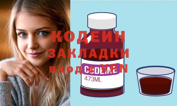 прущие грибы Новозыбков