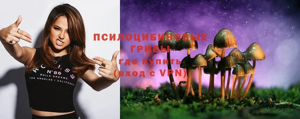 не бодяженный Новодвинск