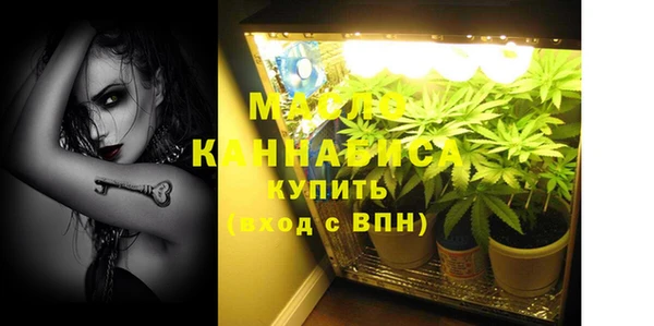 прущие грибы Новозыбков