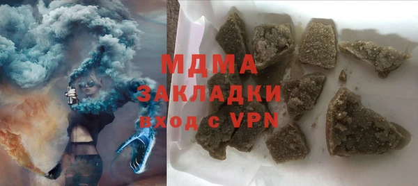 прущие грибы Новозыбков