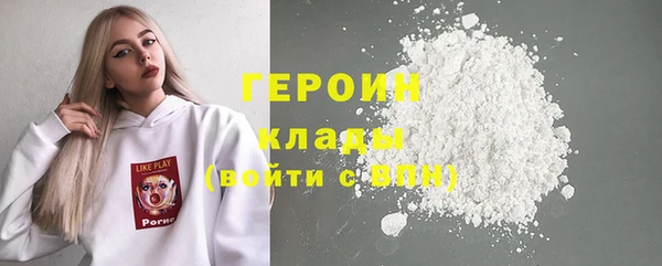 прущие грибы Новозыбков