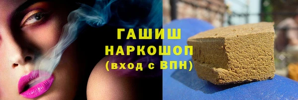 прущие грибы Новозыбков