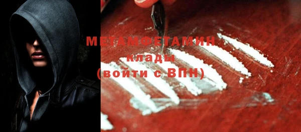 прущие грибы Новозыбков