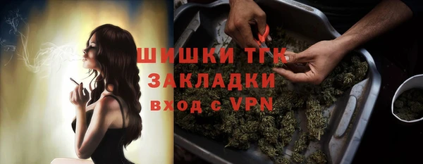 прущие грибы Новозыбков