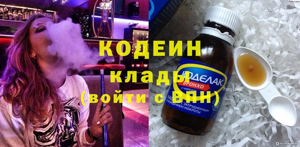 прущие грибы Новозыбков