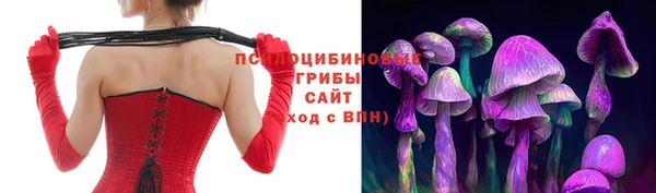 не бодяженный Новодвинск