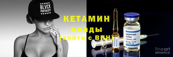 прущие грибы Новозыбков