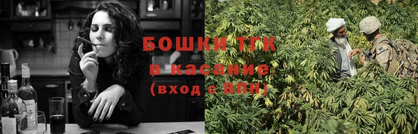 не бодяженный Новодвинск