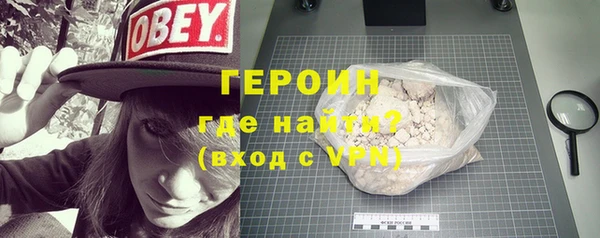 прущие грибы Новозыбков
