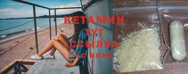 прущие грибы Новозыбков