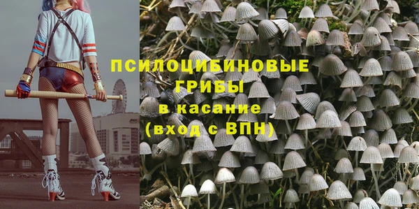 не бодяженный Новодвинск