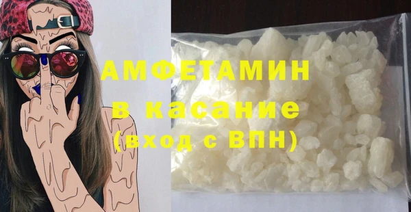 прущие грибы Новозыбков