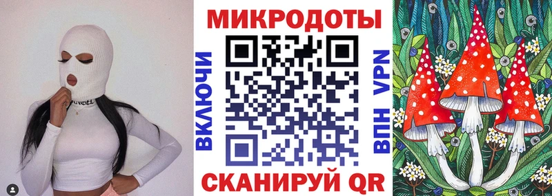 Галлюциногенные грибы Cubensis Чайковский