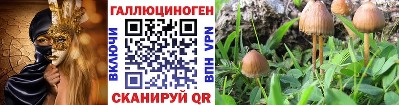 Купить где  Чайковский  Галлюциногенные грибы мухоморы 